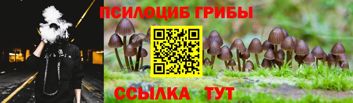Псилоцибиновые грибы Cubensis Кизляр